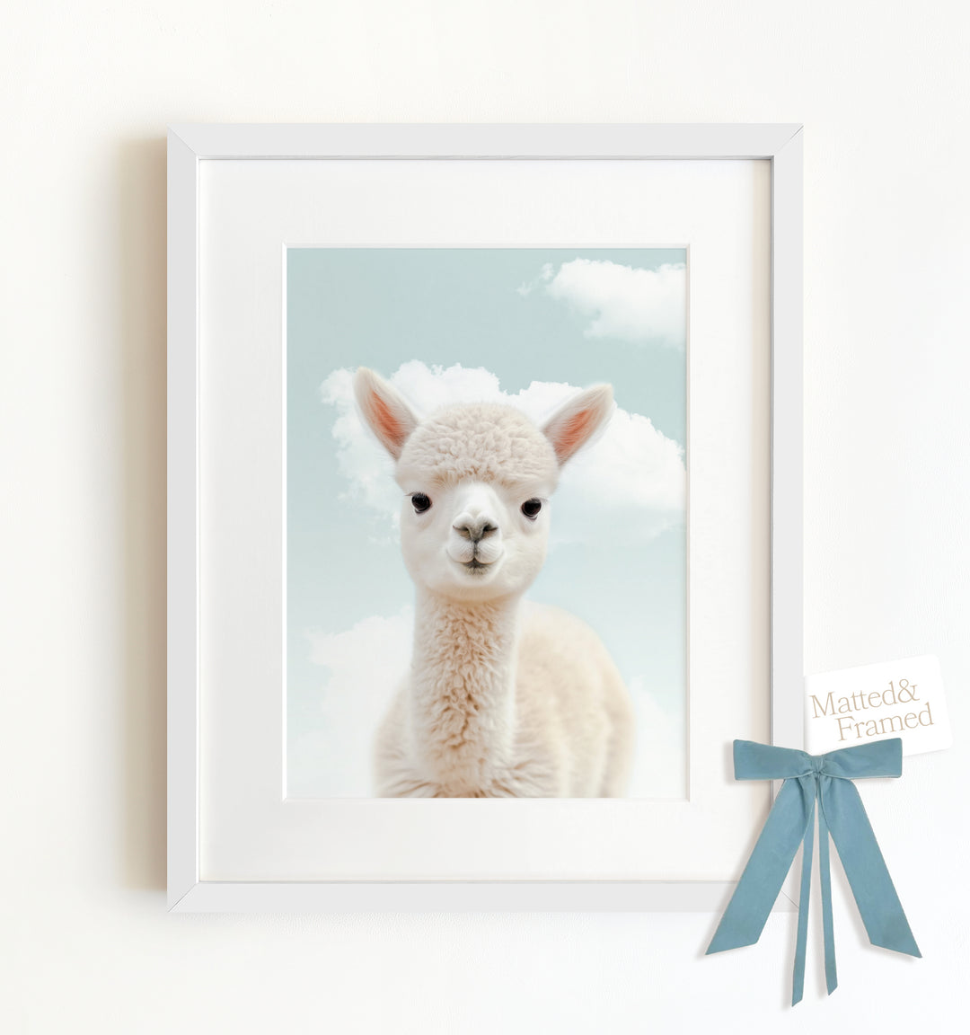 Baby Alpaca Framed Art