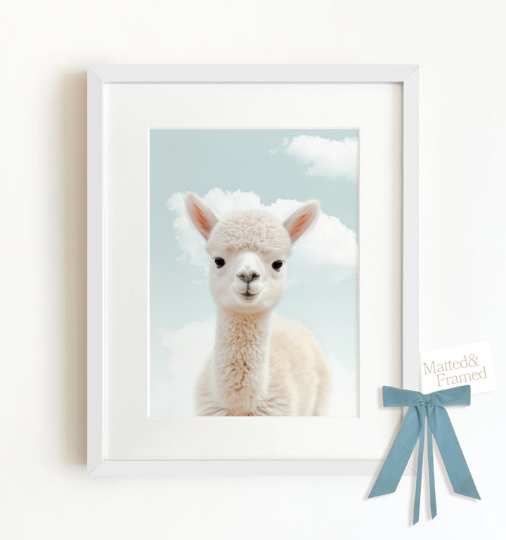 Baby Alpaca Framed Art