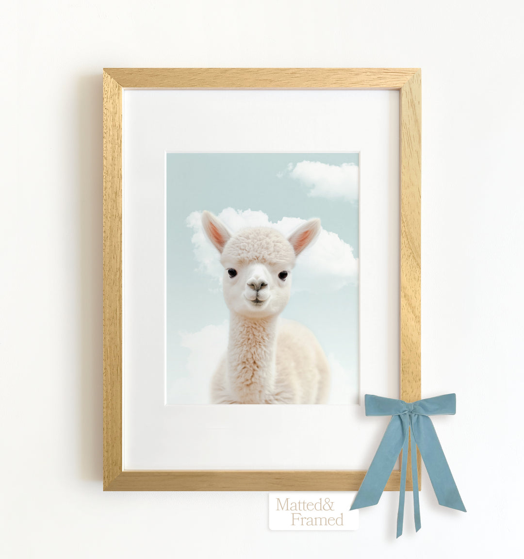 Baby Alpaca Framed Art