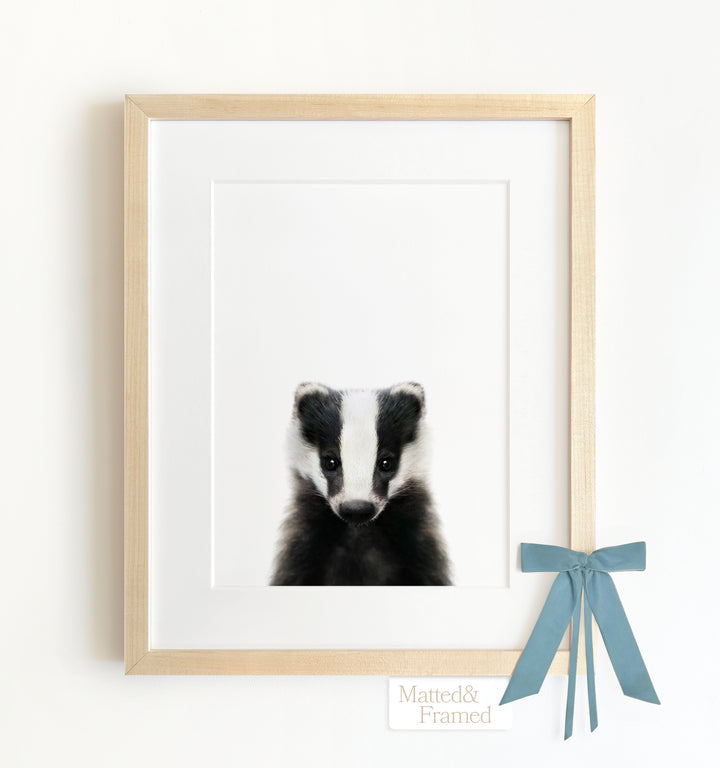 Baby Badger Framed Art