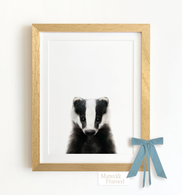 Baby Badger Framed Art