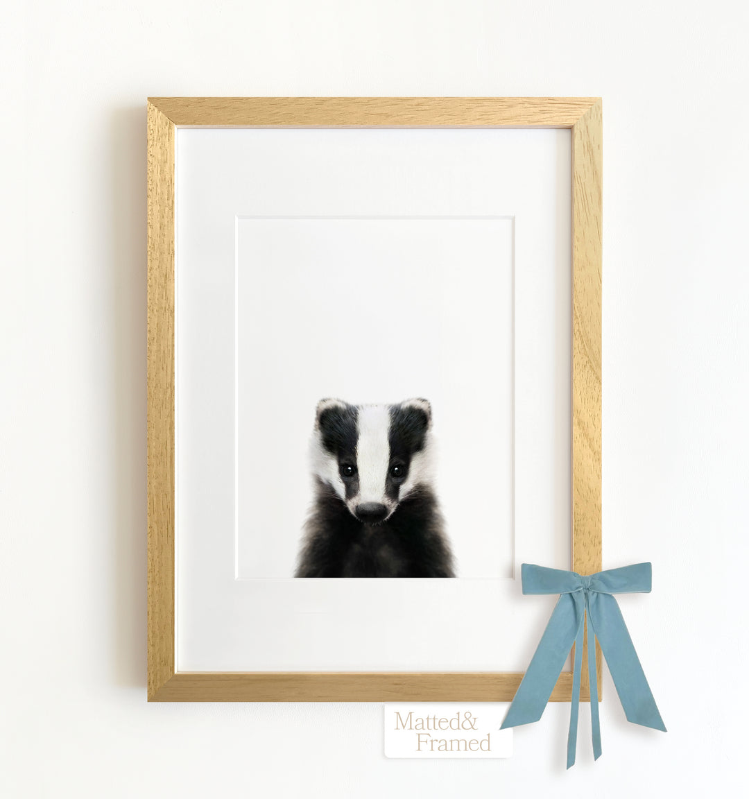 Baby Badger Framed Art