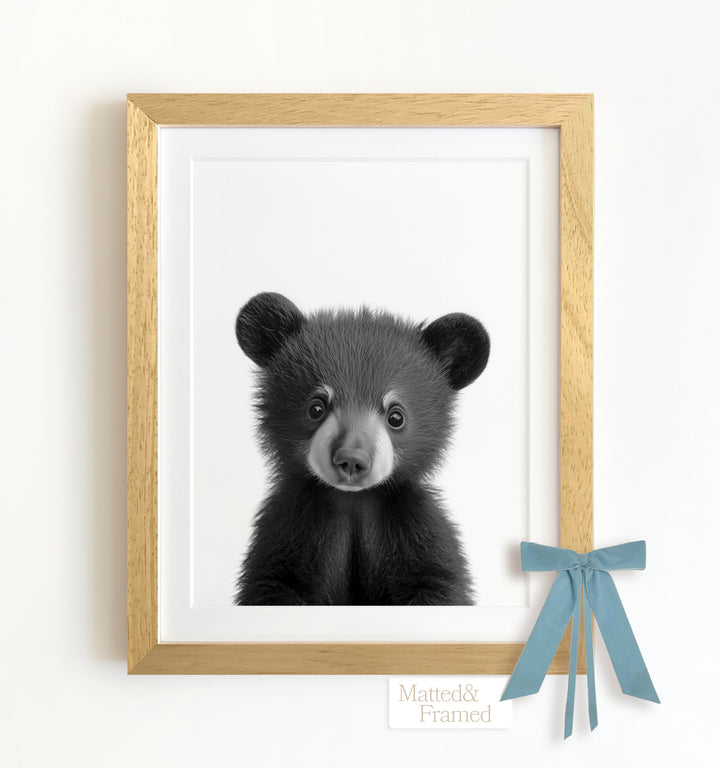 Baby Black Bear Framed Art