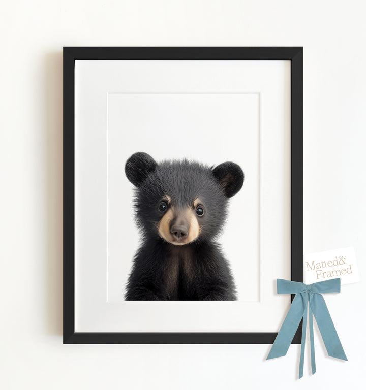 Baby Black Bear Framed Art