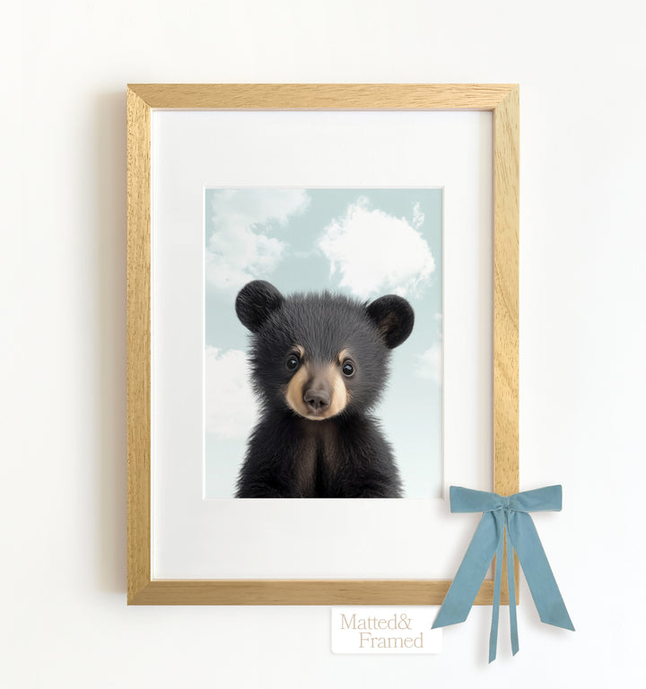 Baby Black Bear Framed Art