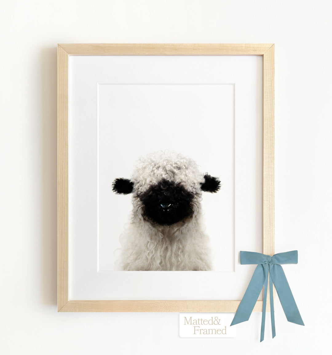 Baby Blacknose Sheep Framed Art