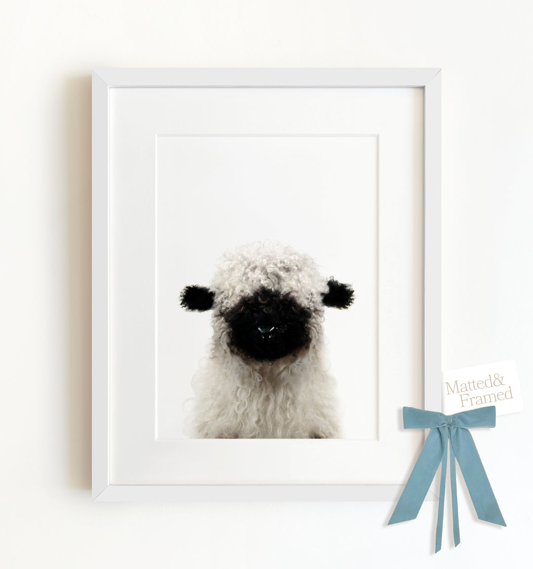 Baby Blacknose Sheep Framed Art