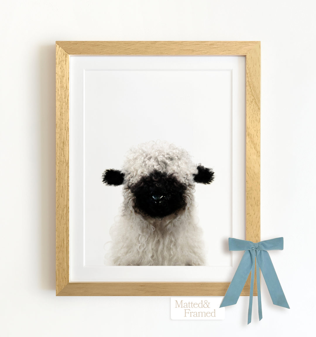 Baby Blacknose Sheep Framed Art