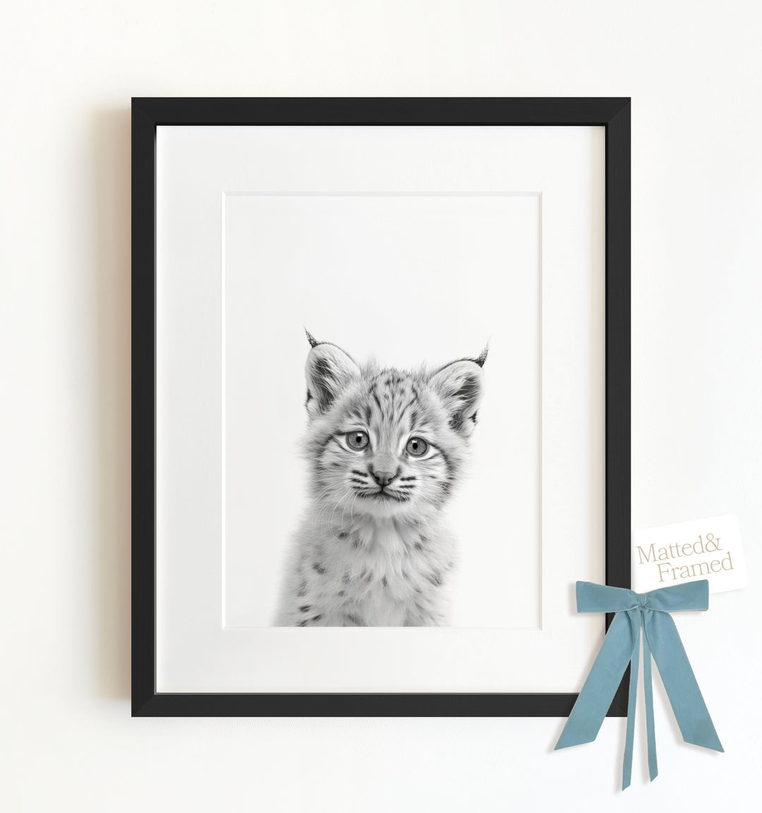 Baby Bobcat Framed Art