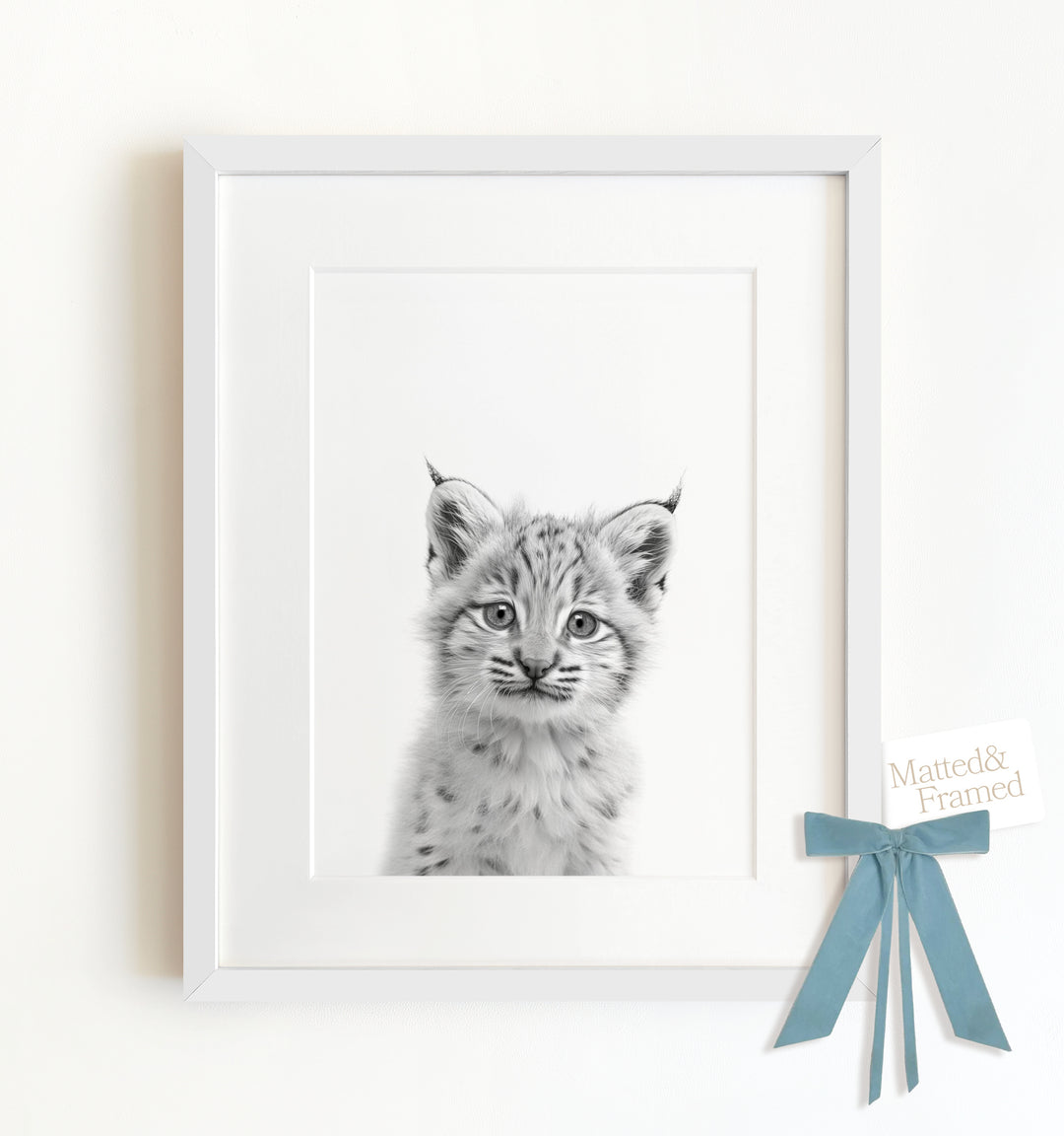 Baby Bobcat Framed Art