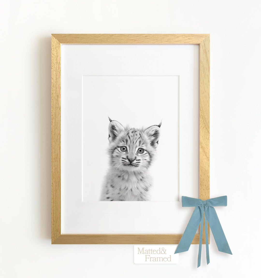 Baby Bobcat Framed Art