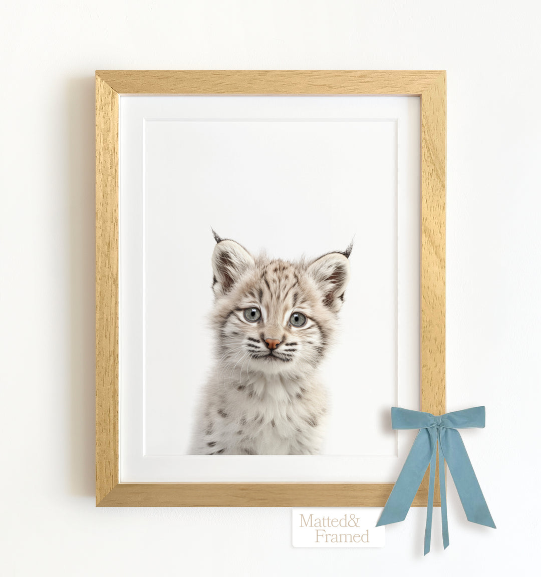 Baby Bobcat Framed Art