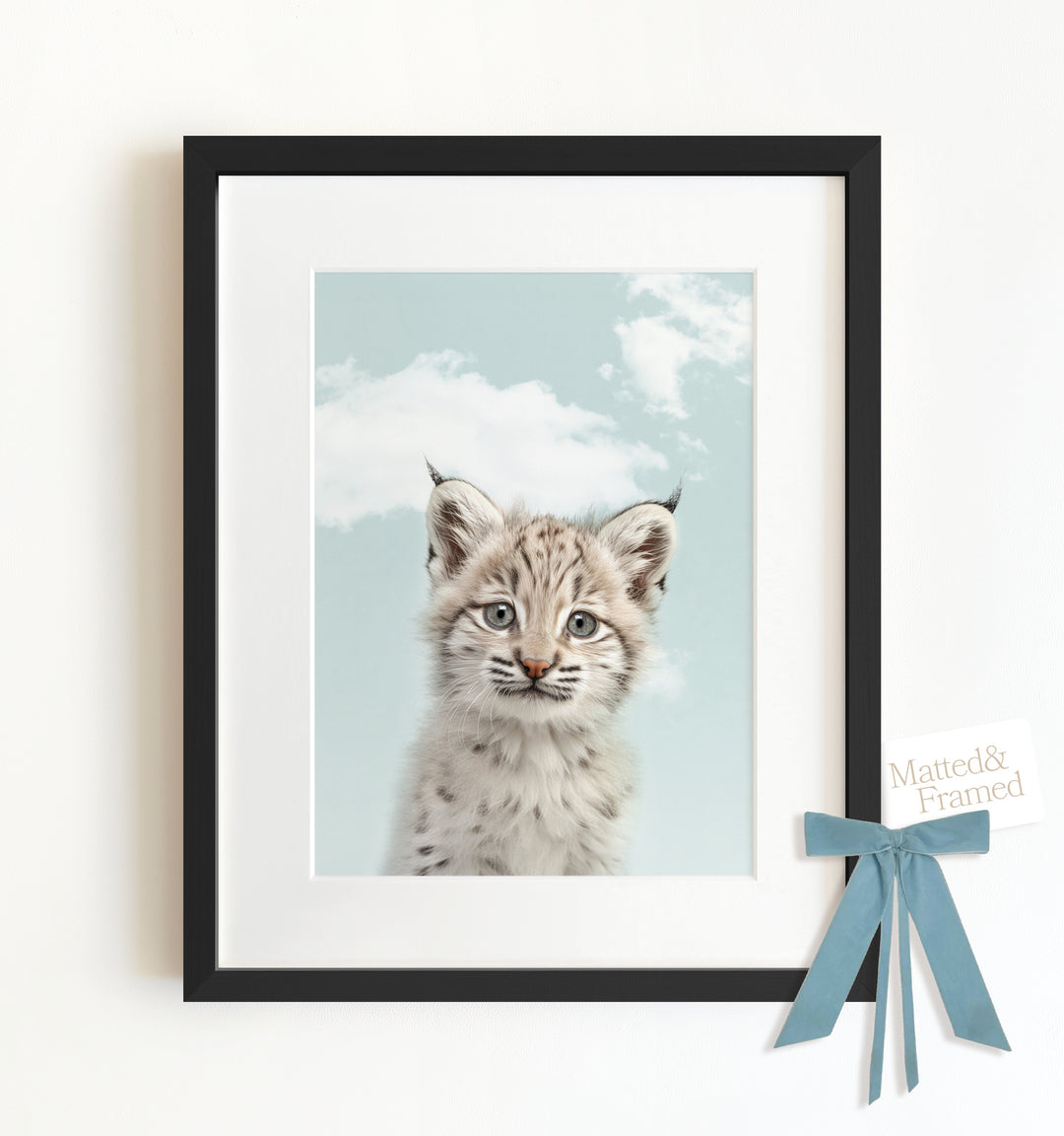 Baby Bobcat Framed Art