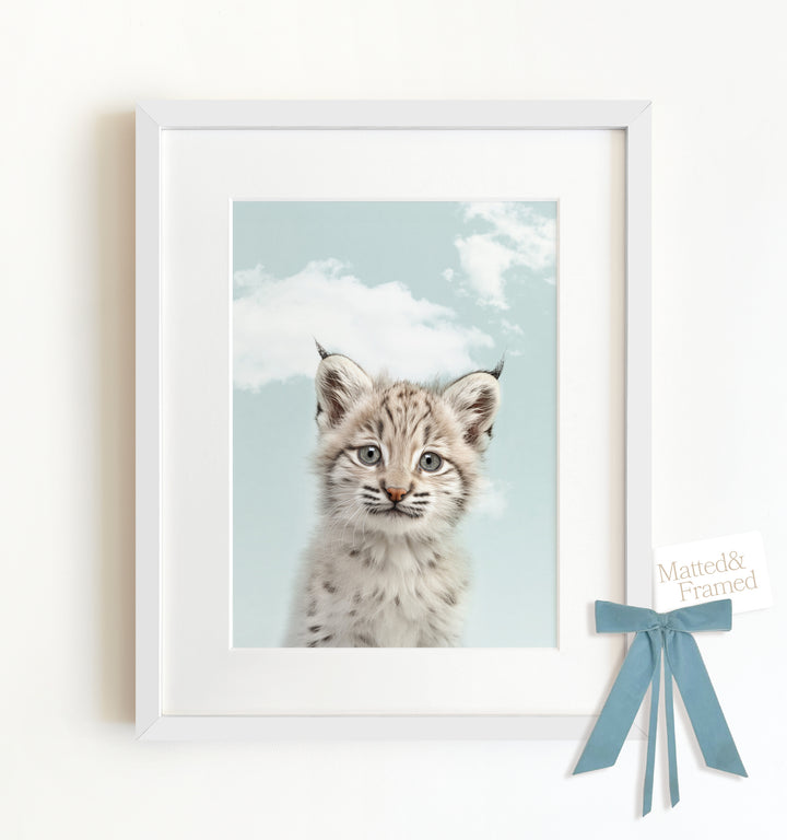 Baby Bobcat Framed Art