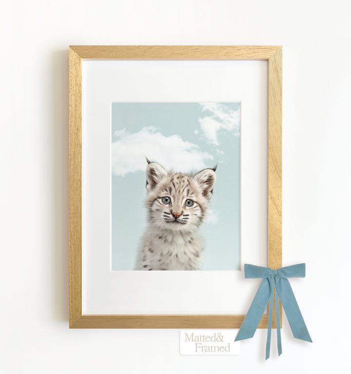 Baby Bobcat Framed Art