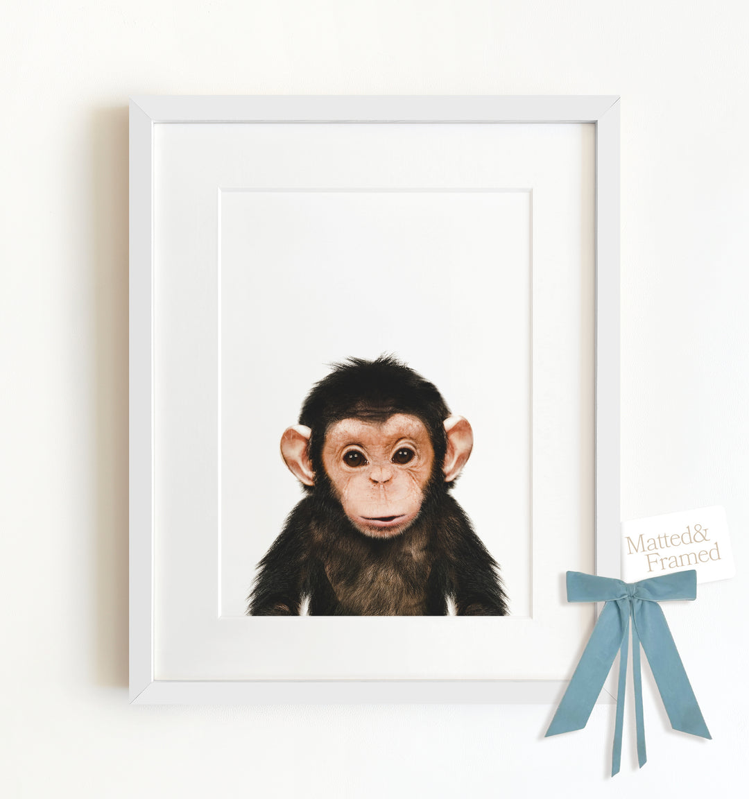 Baby Chimpanzee Framed Art