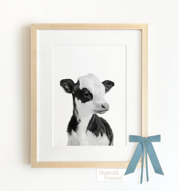 Baby Cow Framed Art