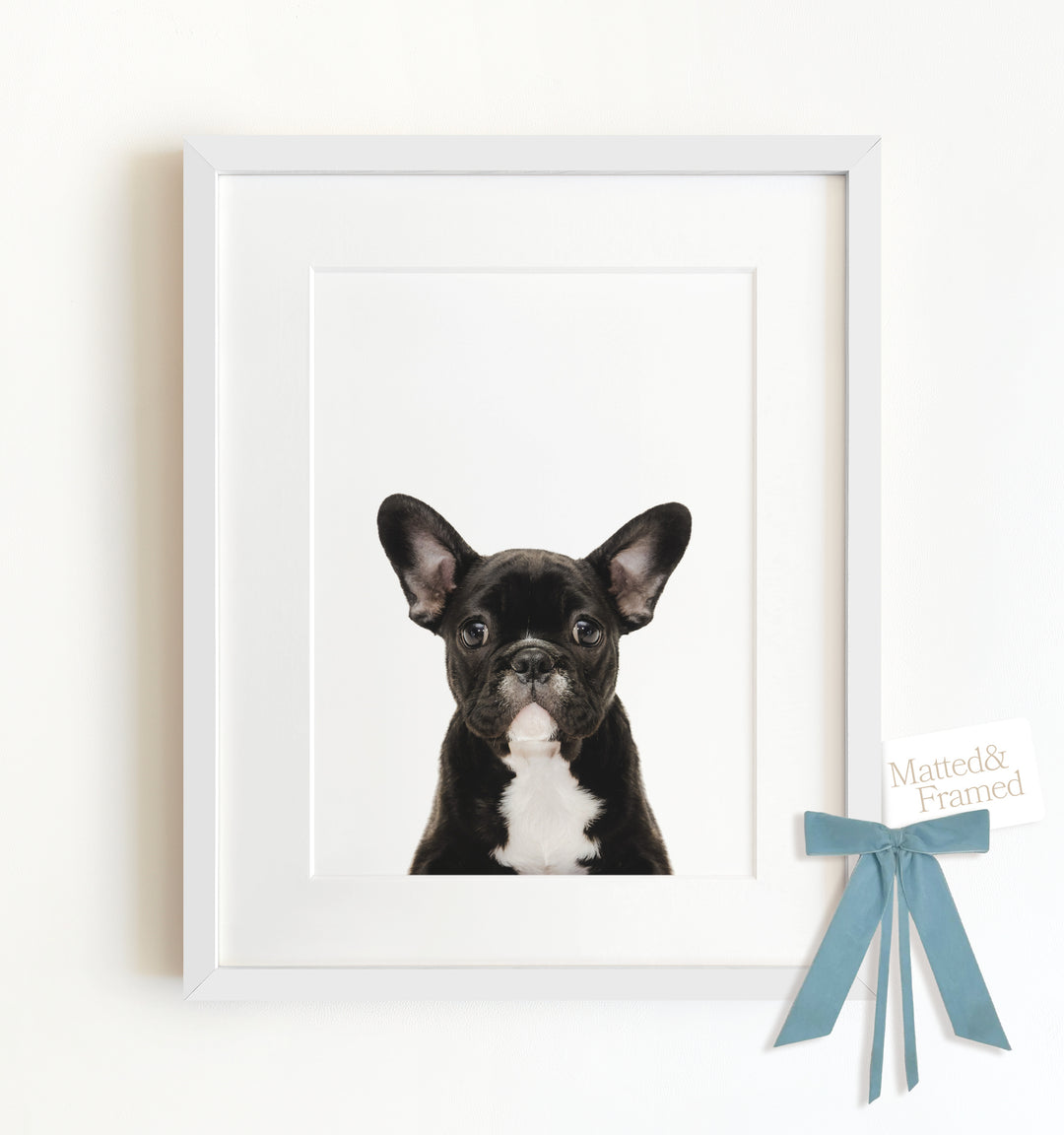 Baby Puppy French Bulldog Framed Art