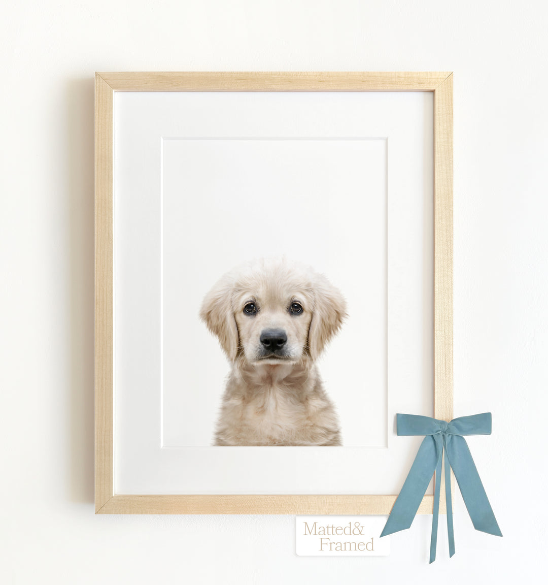 Baby Puppy Golden Retriever Portrait Framed Art