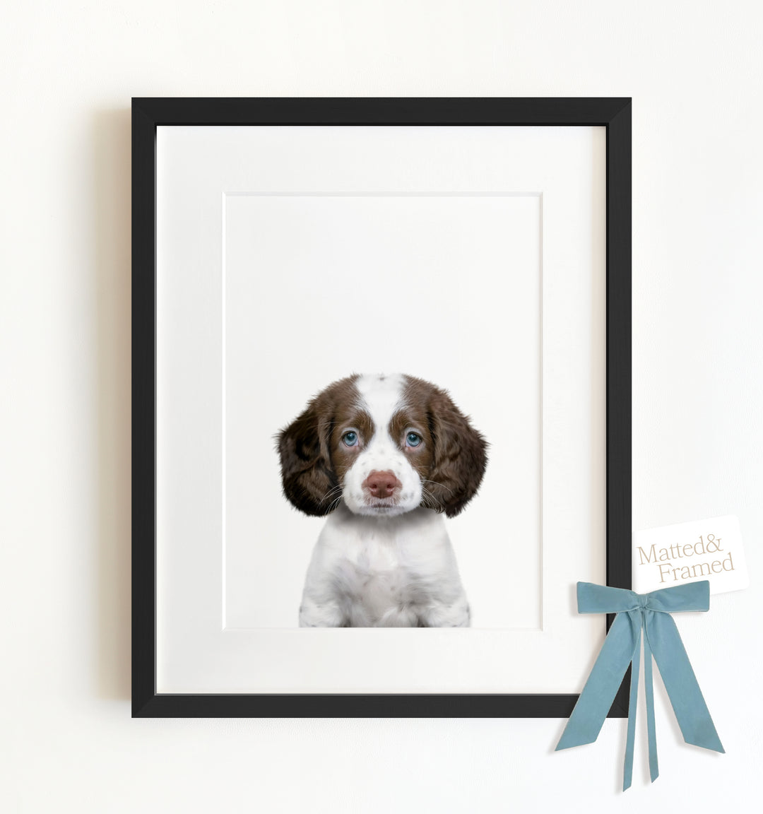 Baby Puppy Springer Spaniel Portrait Framed Art