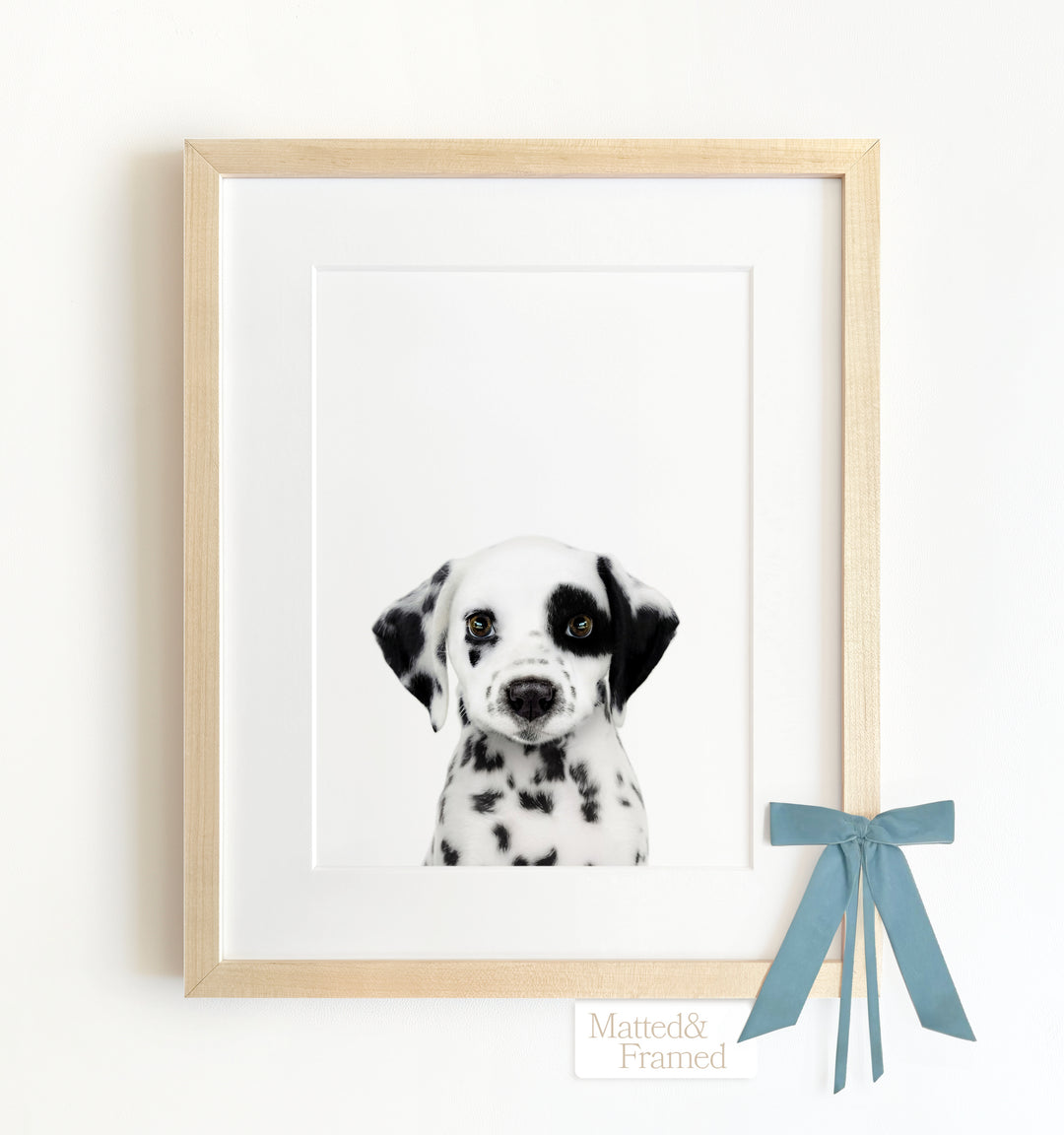 Baby Puppy Dalmatian Framed Art