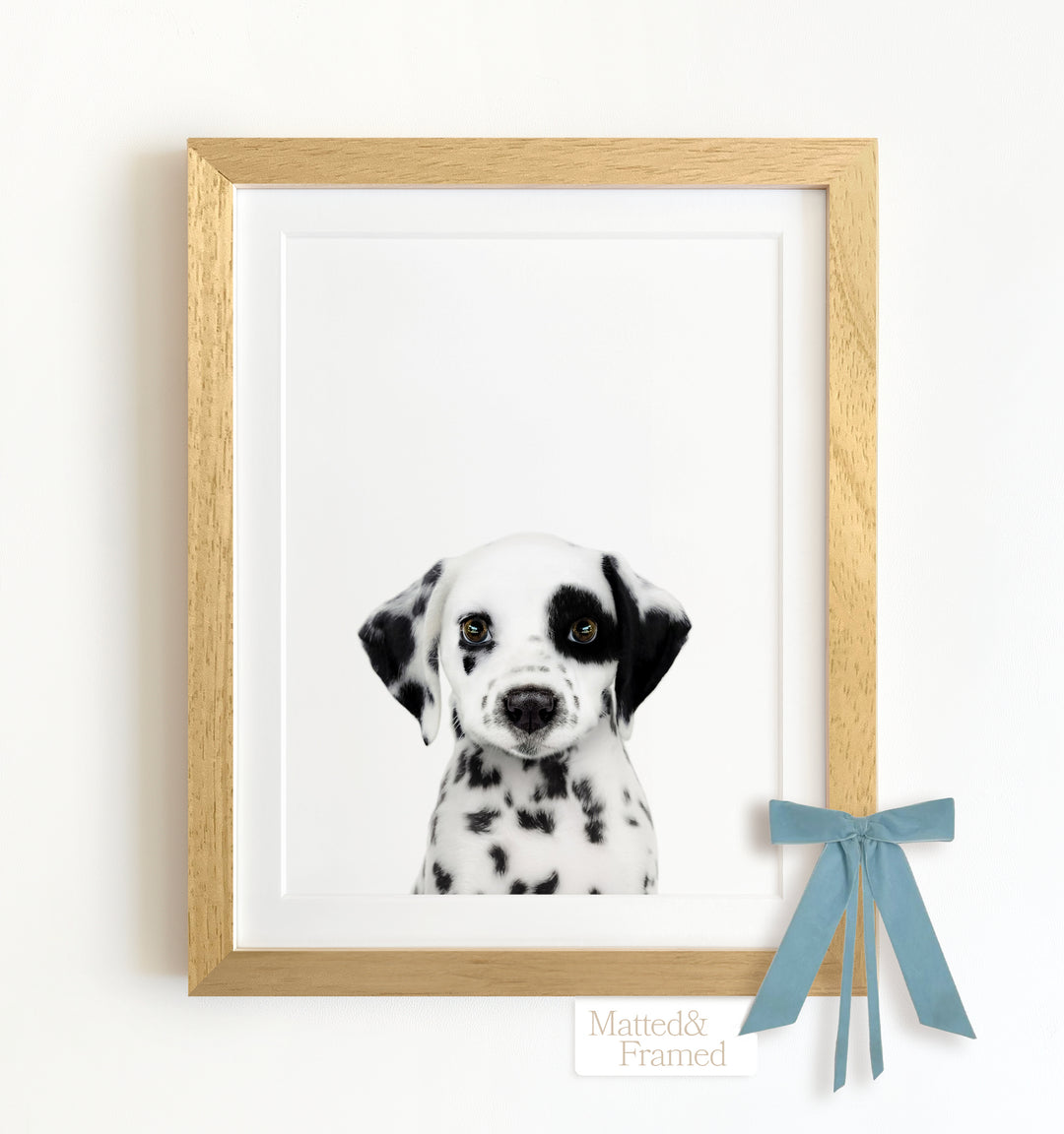 Baby Puppy Dalmatian Framed Art