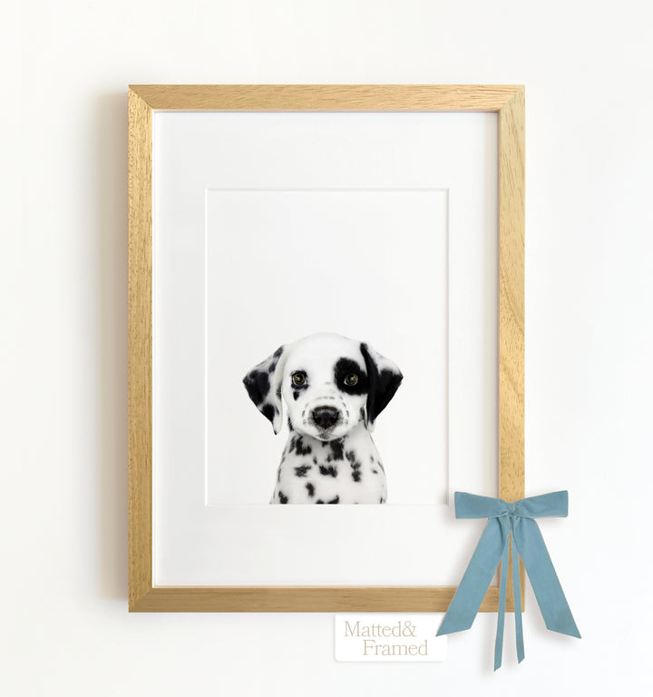 Baby Puppy Dalmatian Framed Art