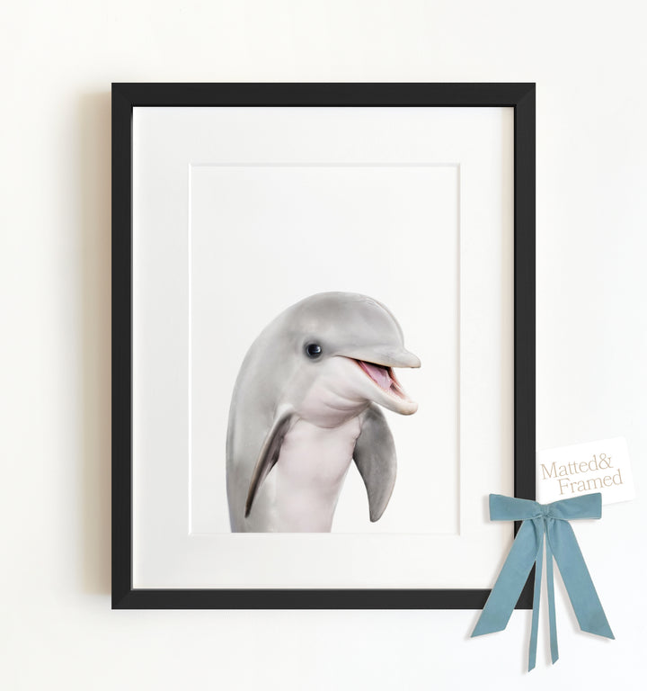 Baby Dolphin Framed Art