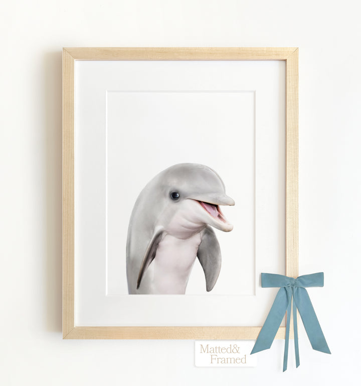 Baby Dolphin Framed Art