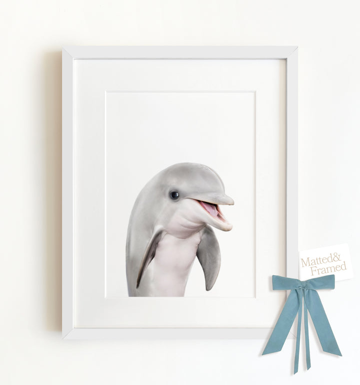 Baby Dolphin Framed Art