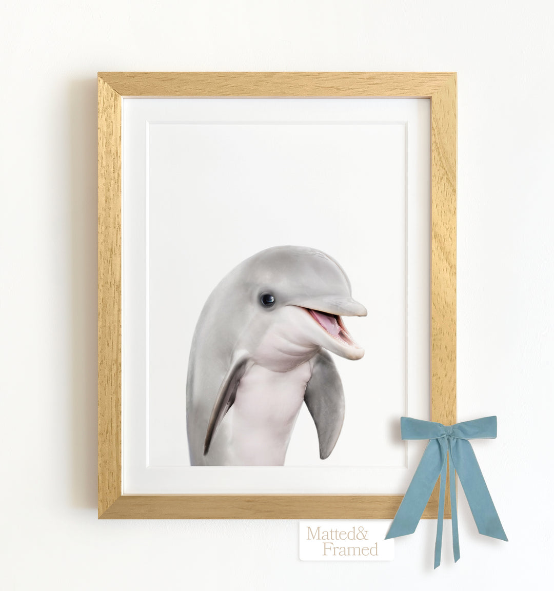 Baby Dolphin Framed Art