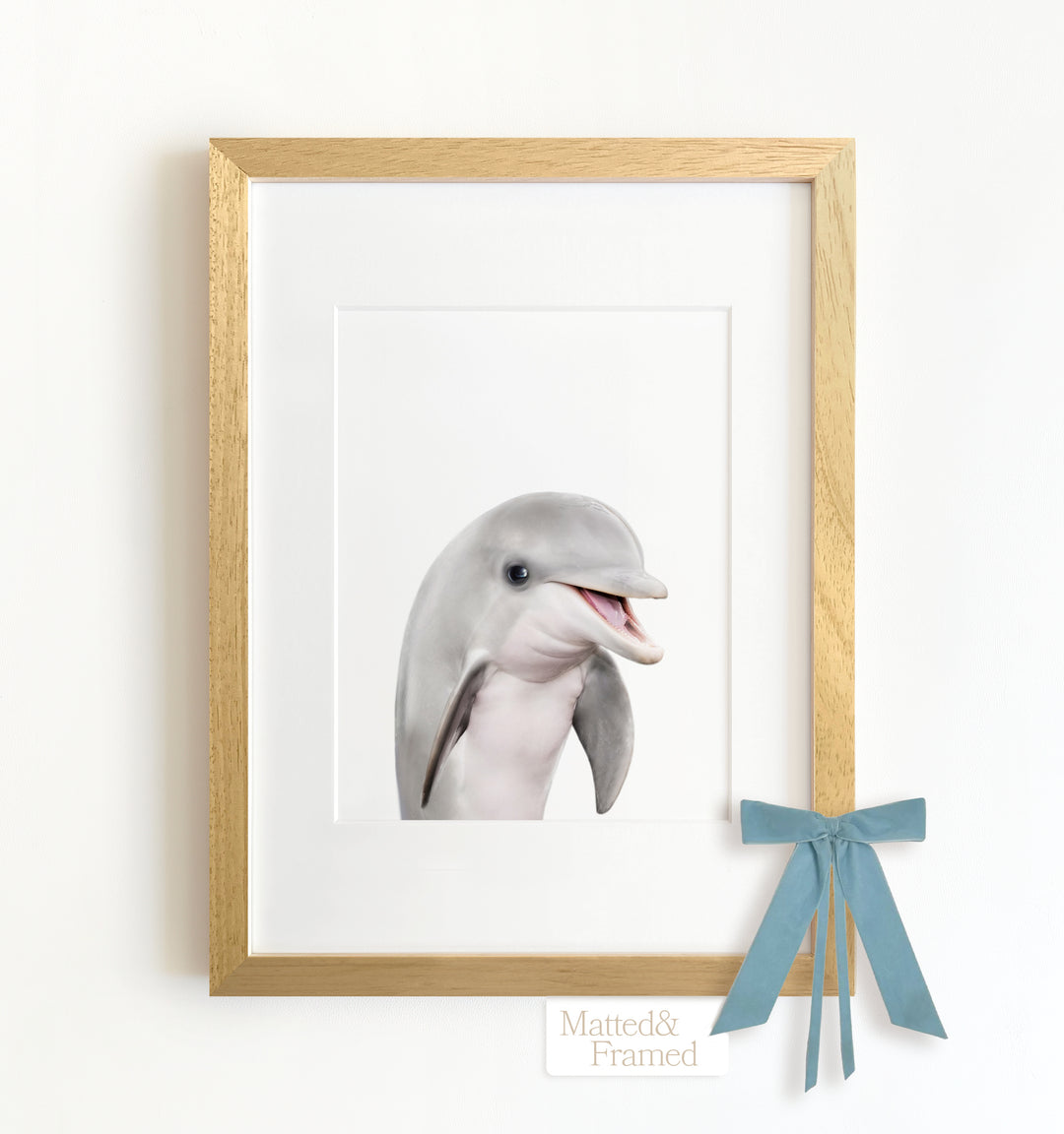 Baby Dolphin Framed Art