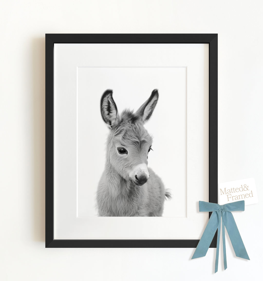 Baby Donkey Framed Art