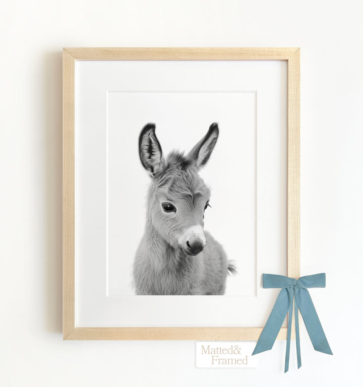 Baby Donkey Framed Art