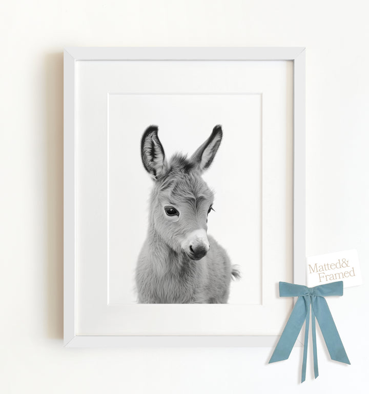 Baby Donkey Framed Art