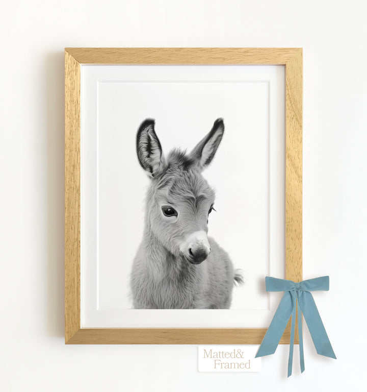 Baby Donkey Framed Art