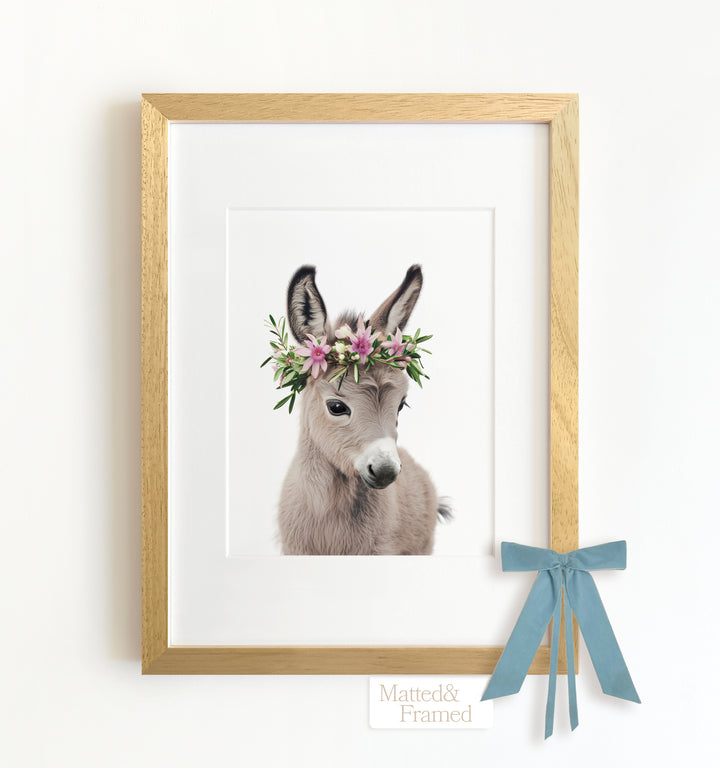 Baby Donkey Framed Art