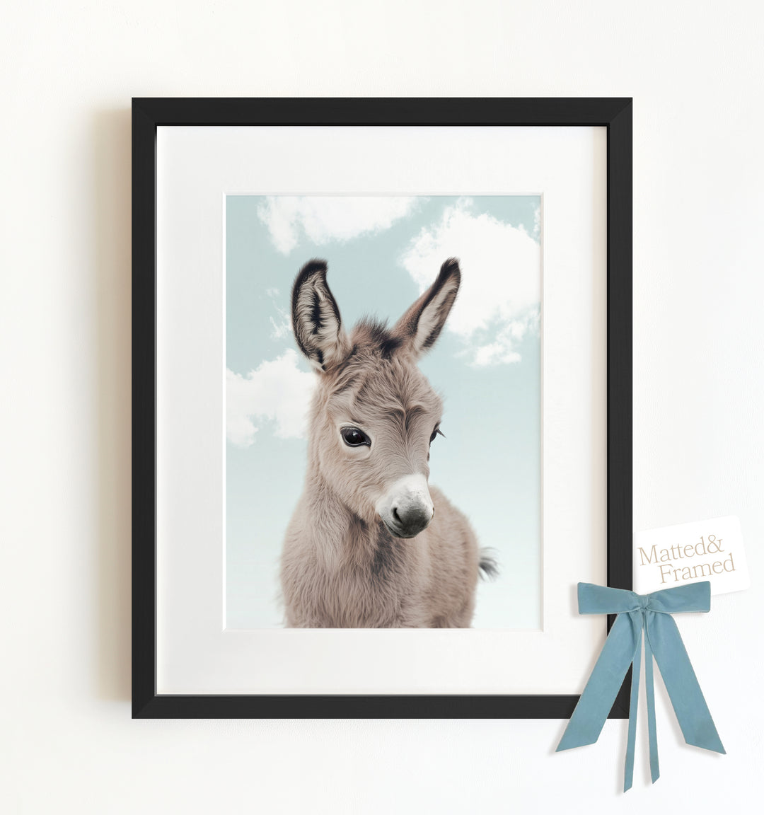 Baby Donkey Framed Art