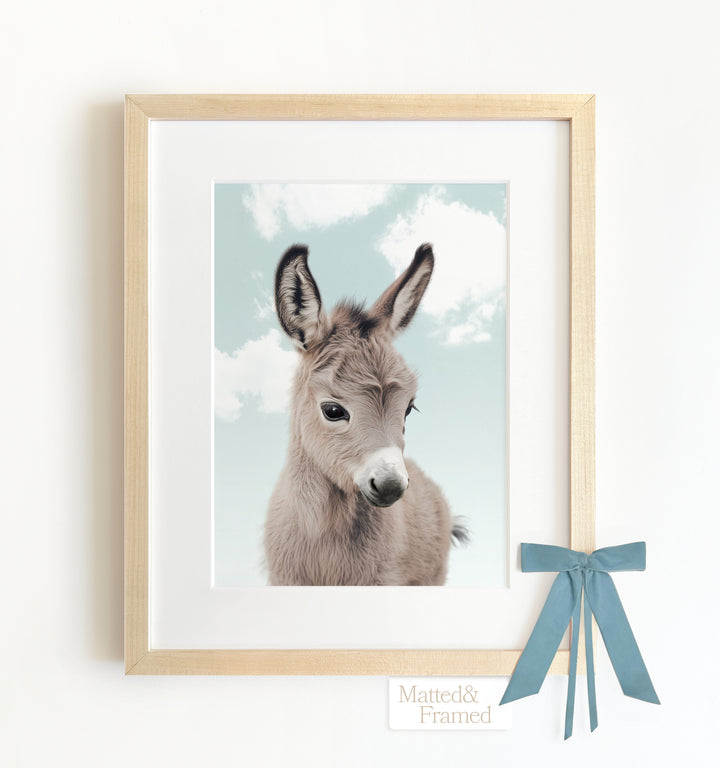 Baby Donkey Framed Art