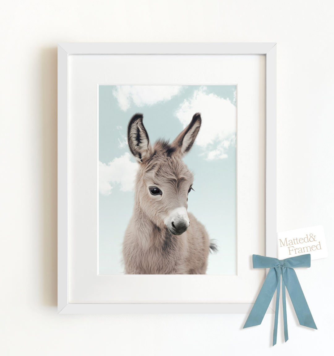 Baby Donkey Framed Art