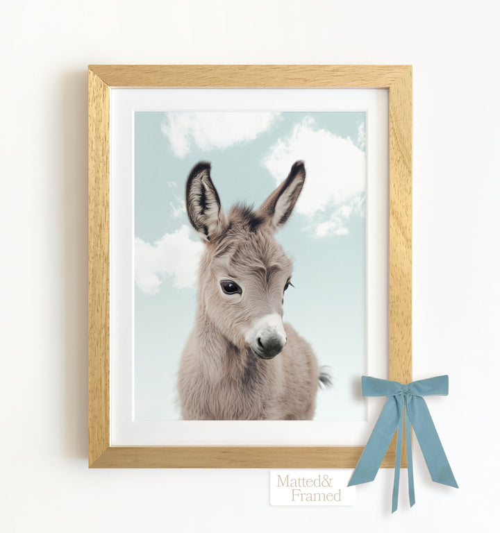 Baby Donkey Framed Art