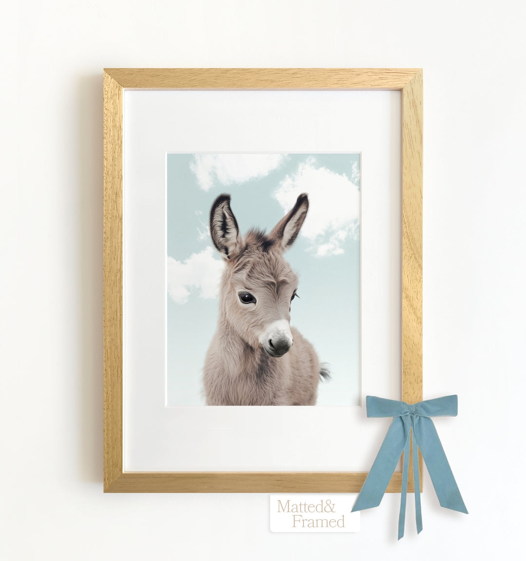 Baby Donkey Framed Art