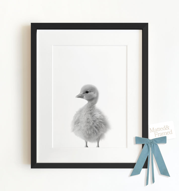 Baby Duckling Framed Art