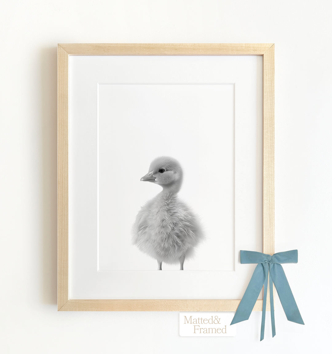 Baby Duckling Framed Art