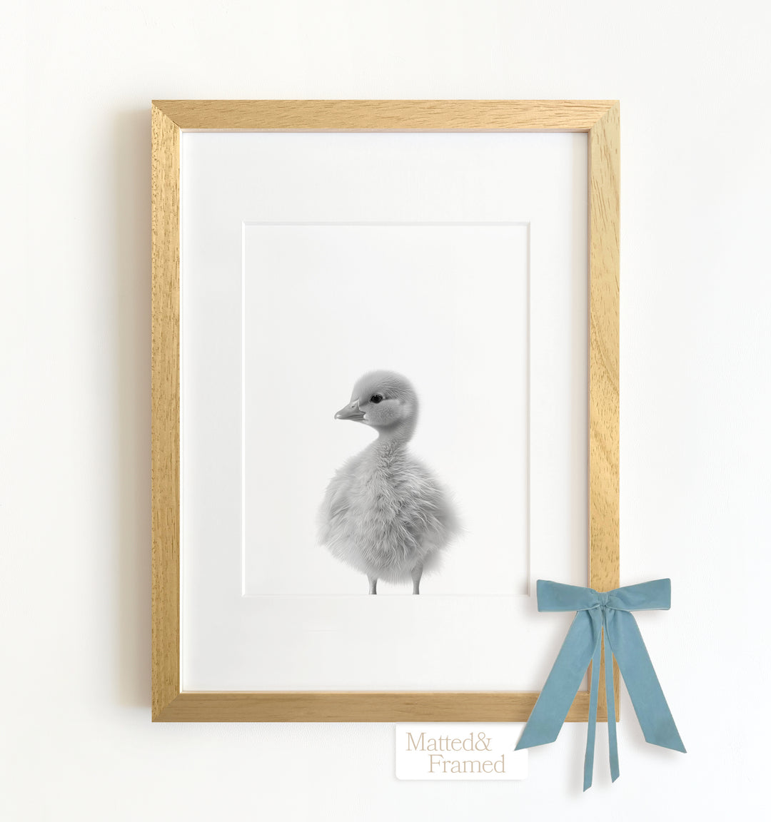 Baby Duckling Framed Art