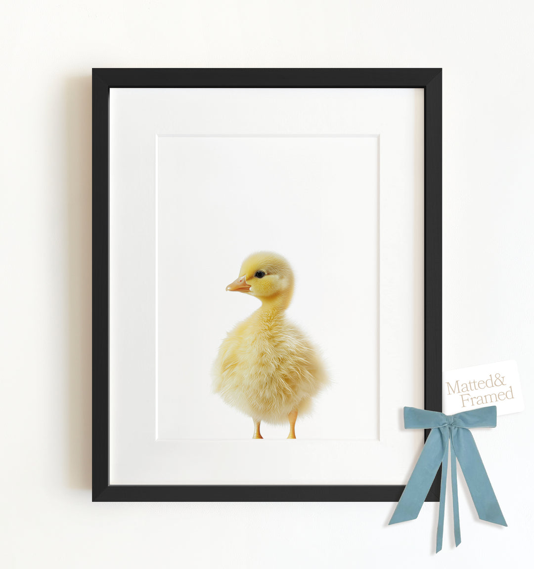 Baby Duckling Framed Art