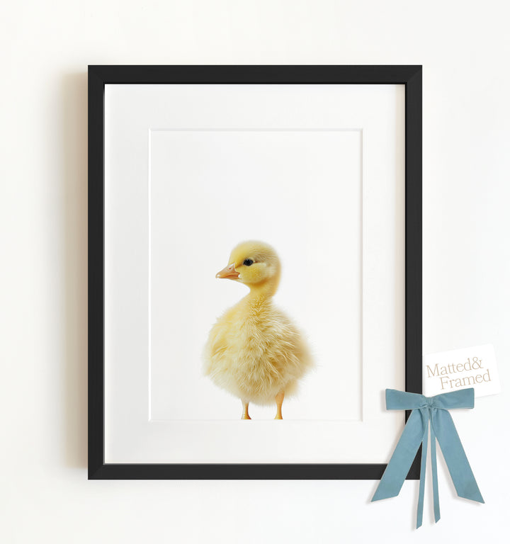 Baby Duckling Framed Art