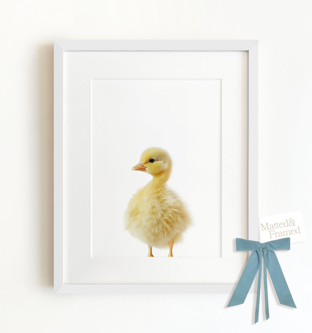 Baby Duckling Framed Art