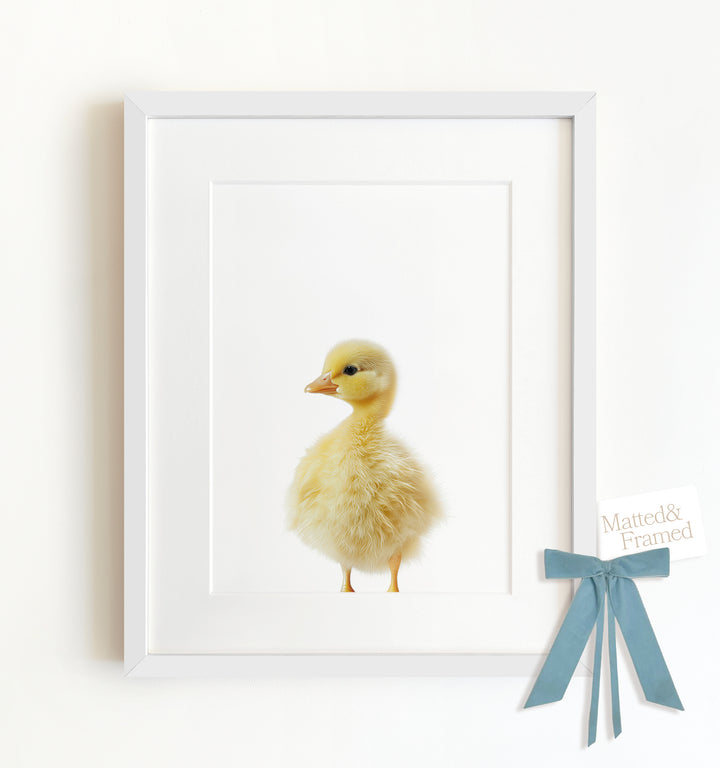 Baby Duckling Framed Art