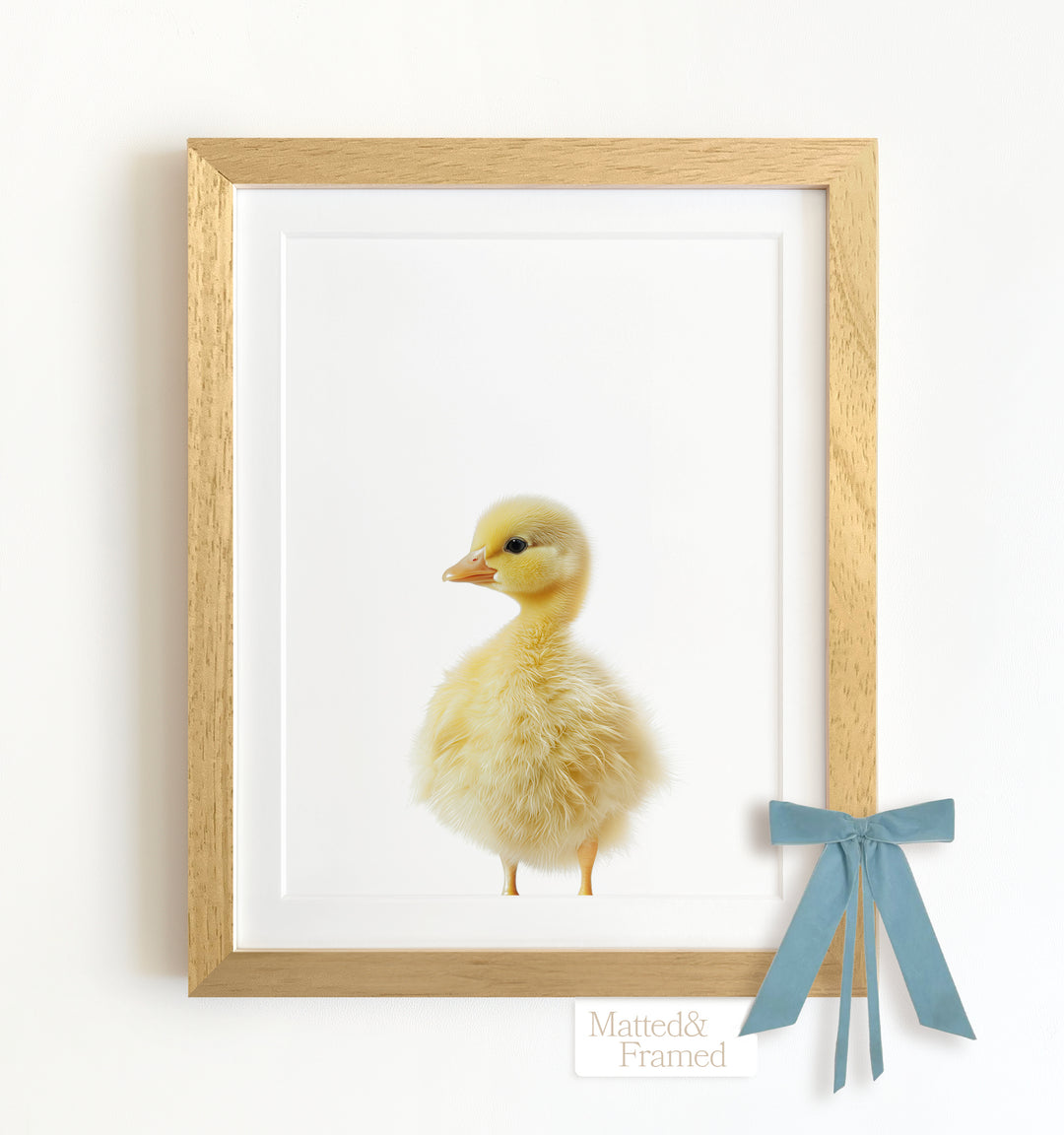 Baby Duckling Framed Art